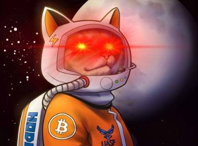 Hodlonaut Donation Collection