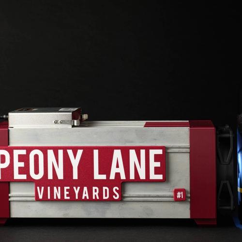 #2-20 Peony Lane X CryptoCloaks