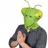 Mantis Cryptos avatar