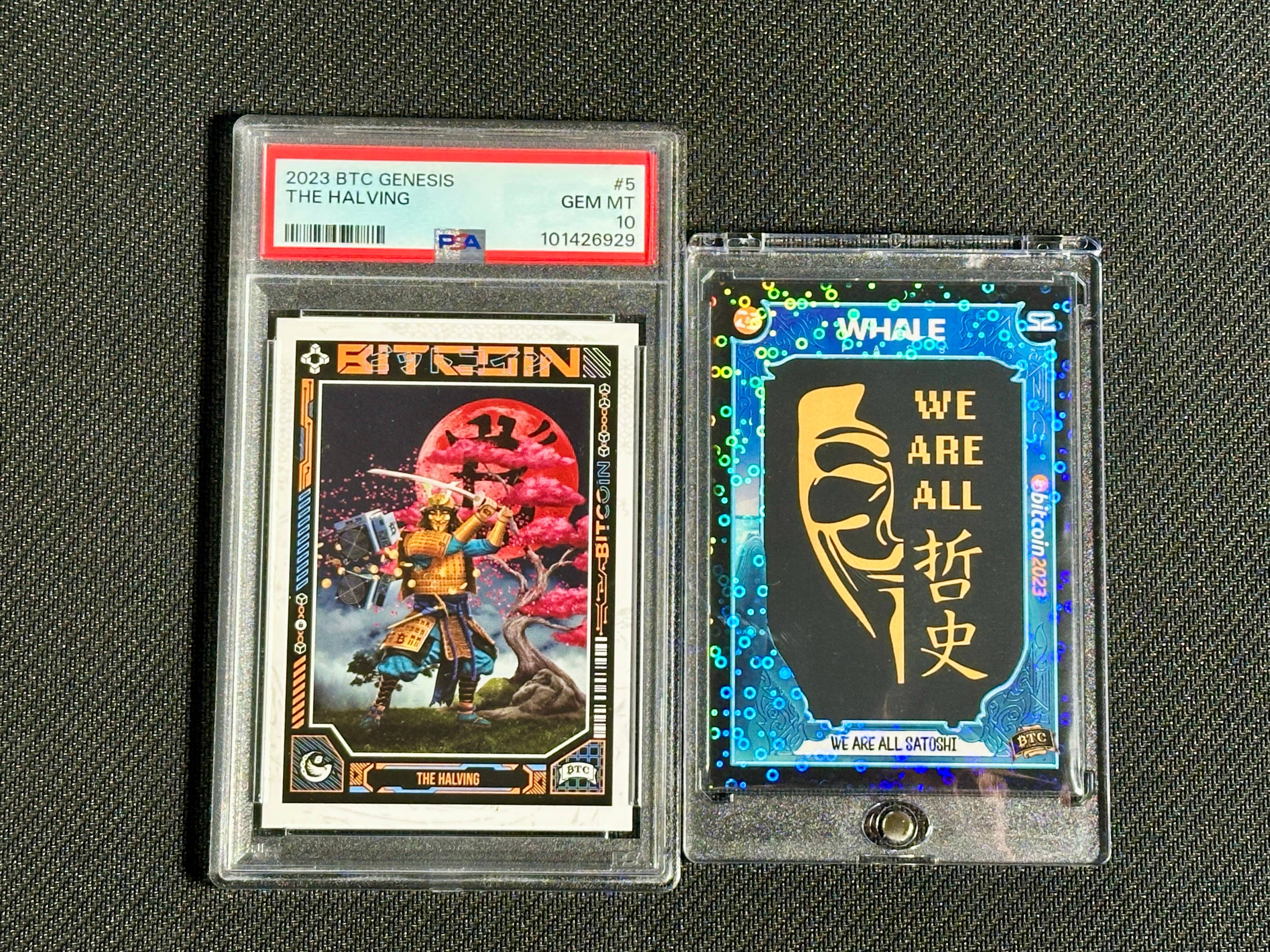 PSA 10 Halving Error & We Are All Satoshi #289