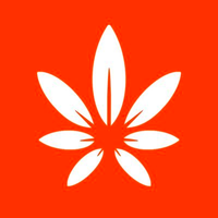 SAI Ordinals avatar