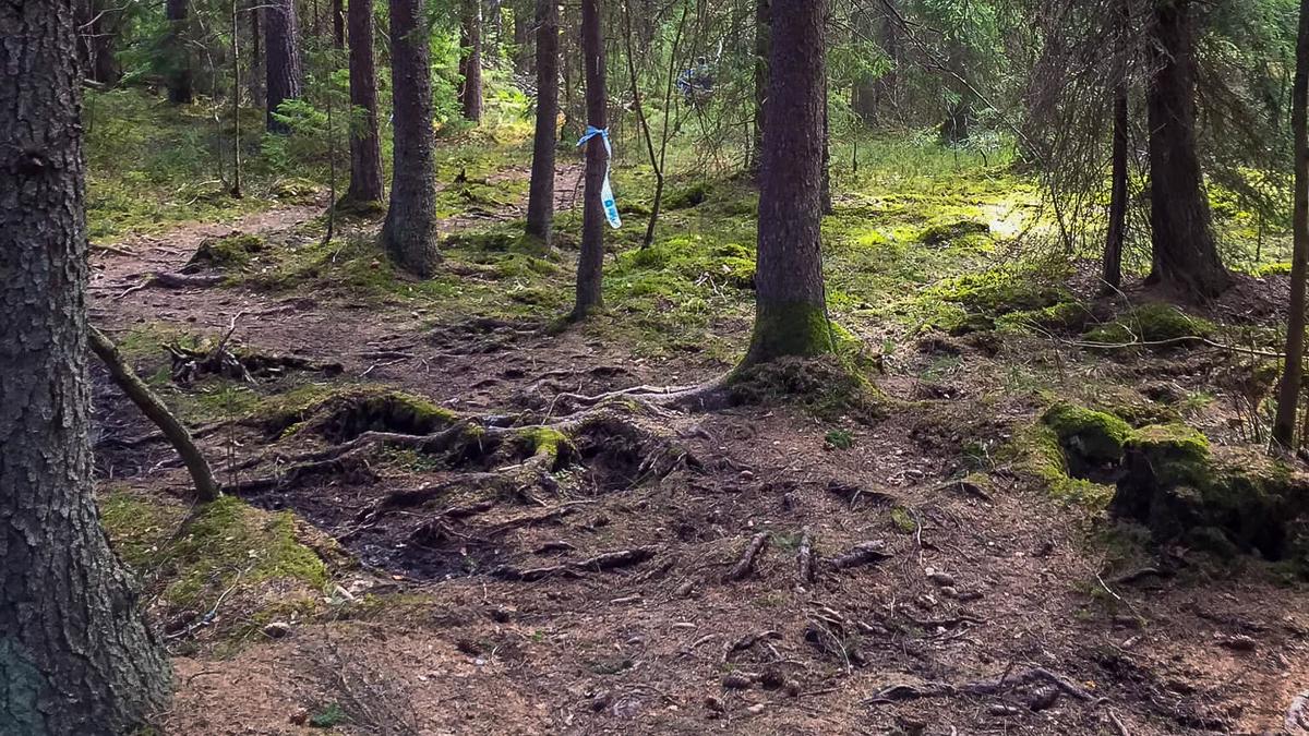 Inför TEC 100 miles 2019 - damerna