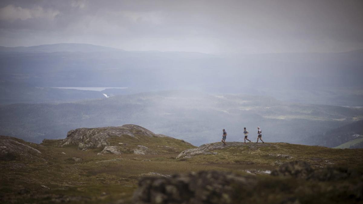 20-årsjubileum av Fjällmaraton 45K