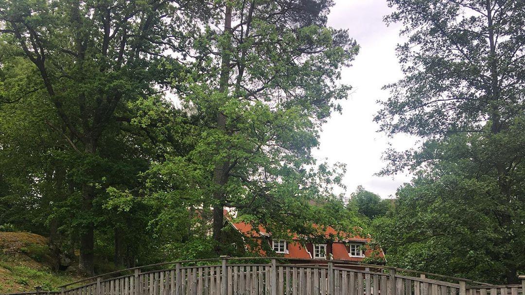 Inför #Småland100 2019