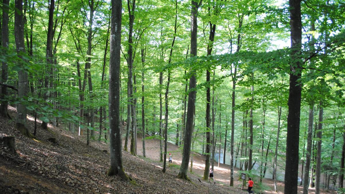 Ultraaktuellt, 27 maj 2019