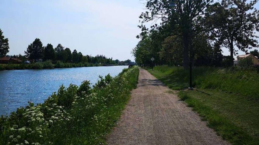 En rebellisk plattform för idéspridning