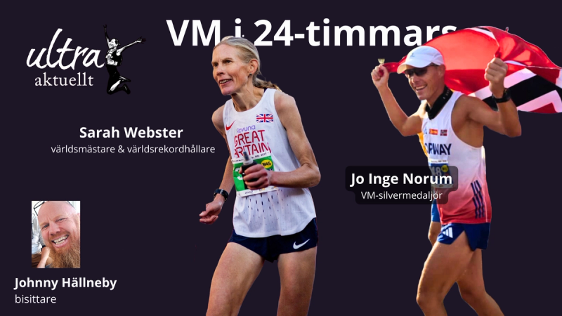 VM i 24-timmars 2025