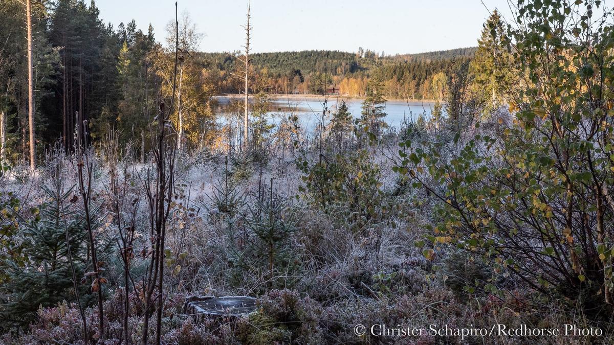 Ultraaktuellt 7 oktober 2019