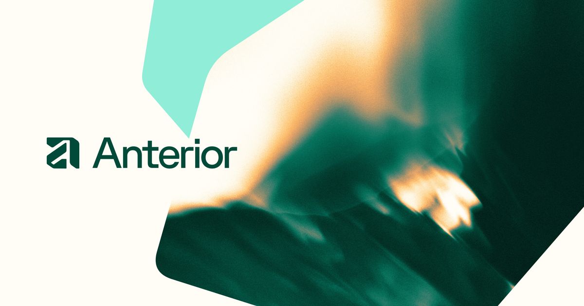 Anterior's website preview