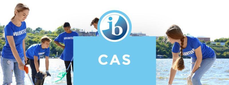 Ámaxa for IB CAS Projects: How We Align