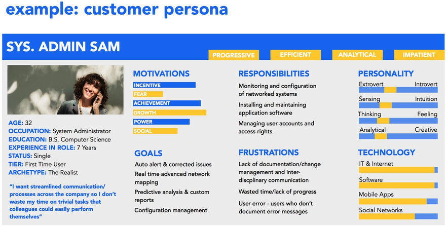 example customer persona
