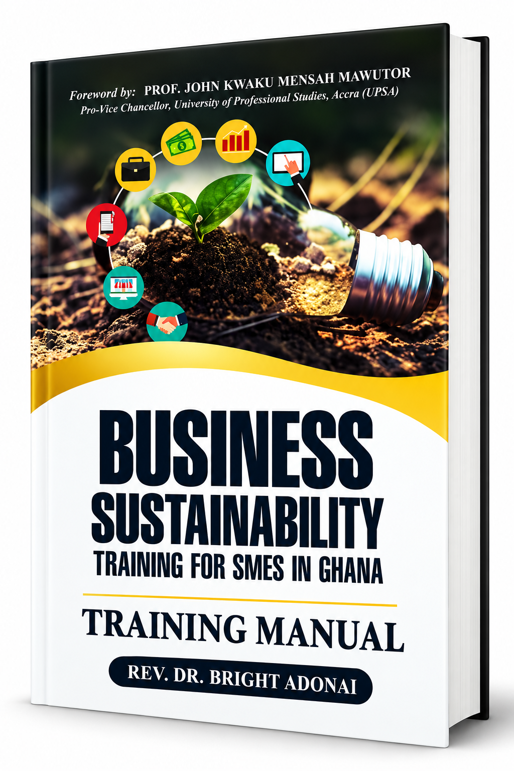 Book Cover for Business Sustainability