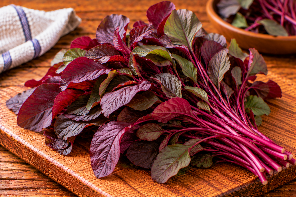 Red amaranth leaves with green foliage and red-toned stems