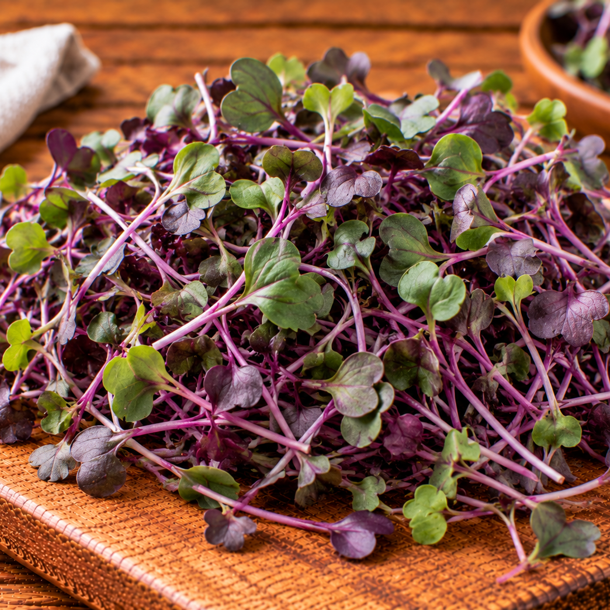 Purple kohlrabi microgreens with fine stems and small leaves