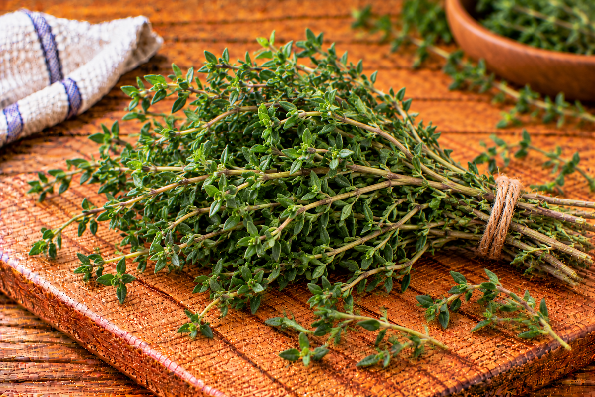 Thyme sprigs with tiny green leaves on slender stems