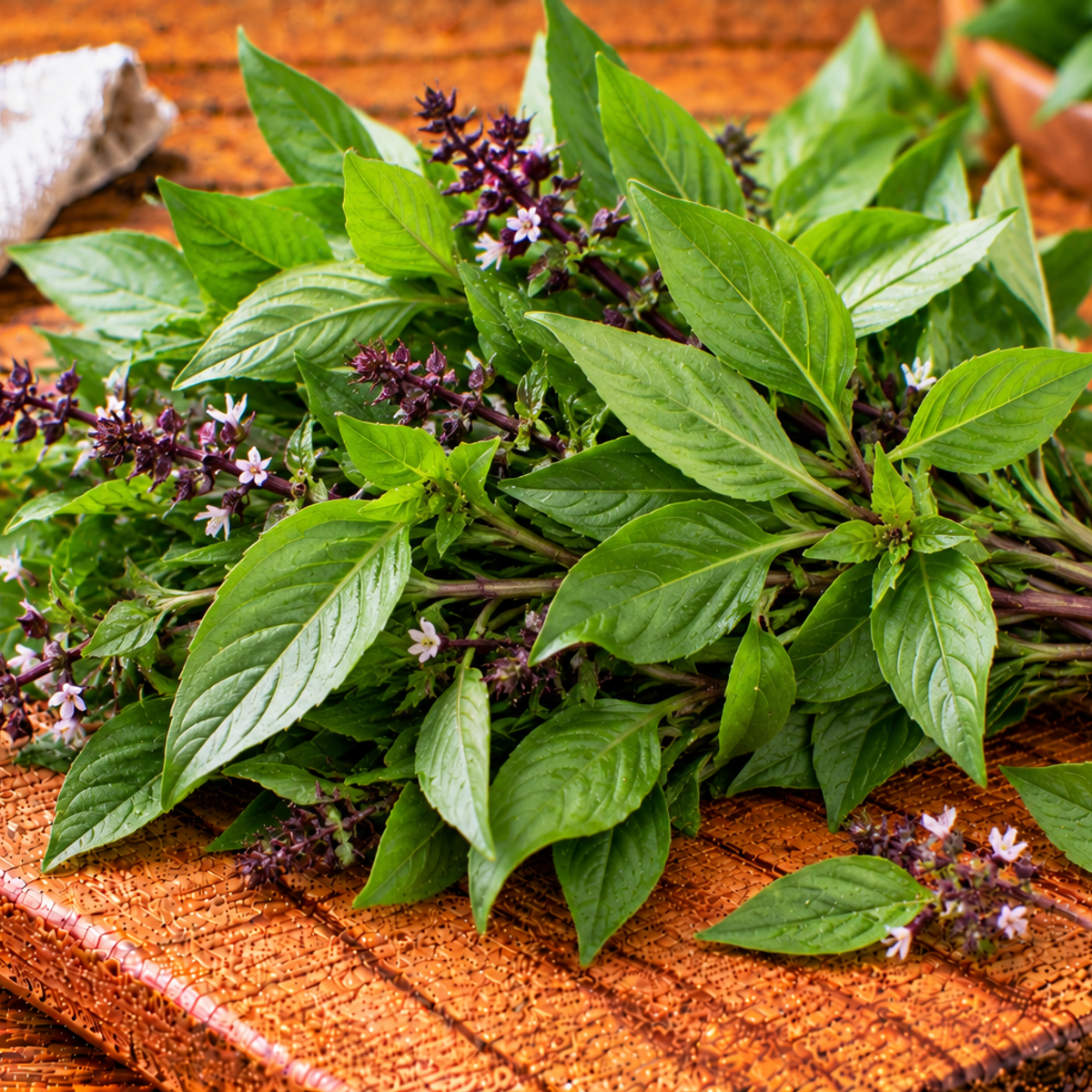 Thai sweet basil with pointed green leaves and aromatic herb sprigs