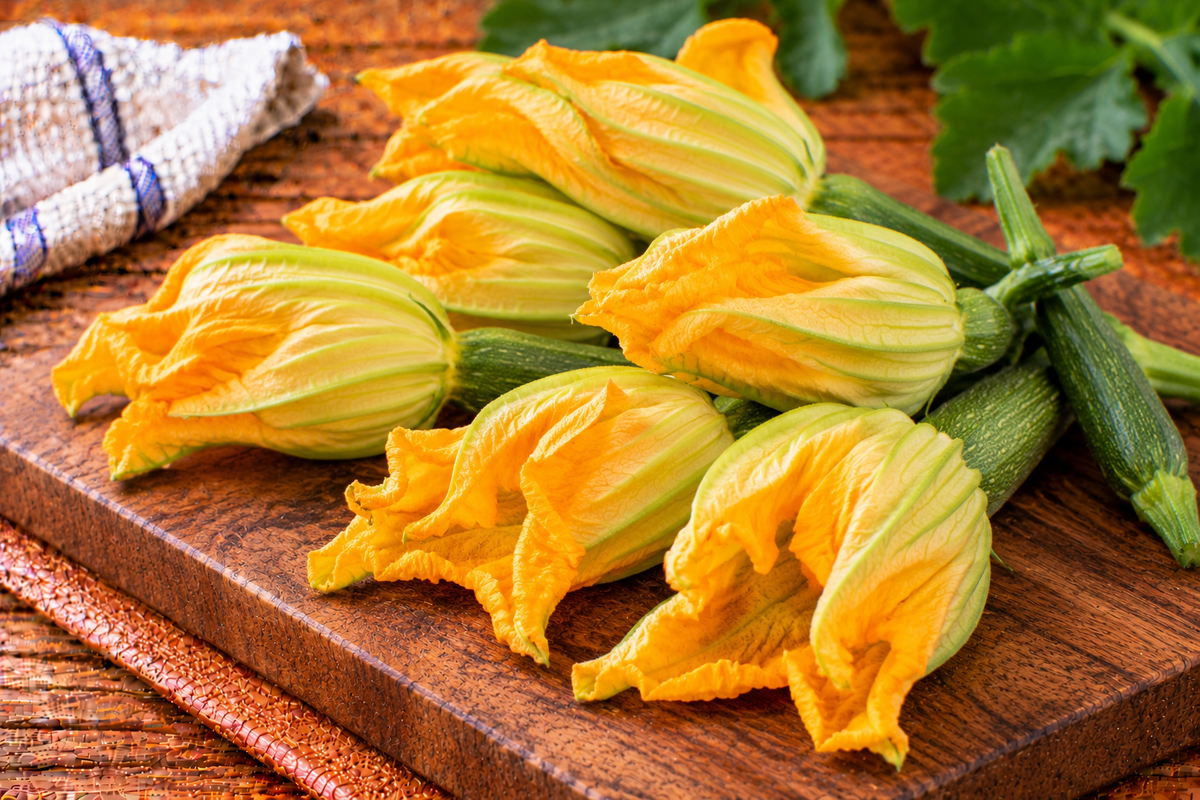 Delicate yellow zucchini blossoms with elongated petals