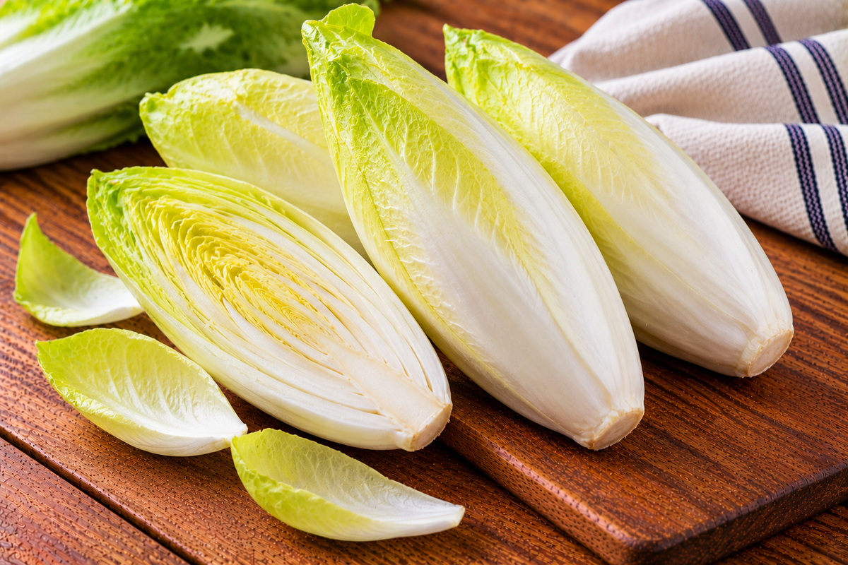Endive lettuce leaves with pale ribs and green edges