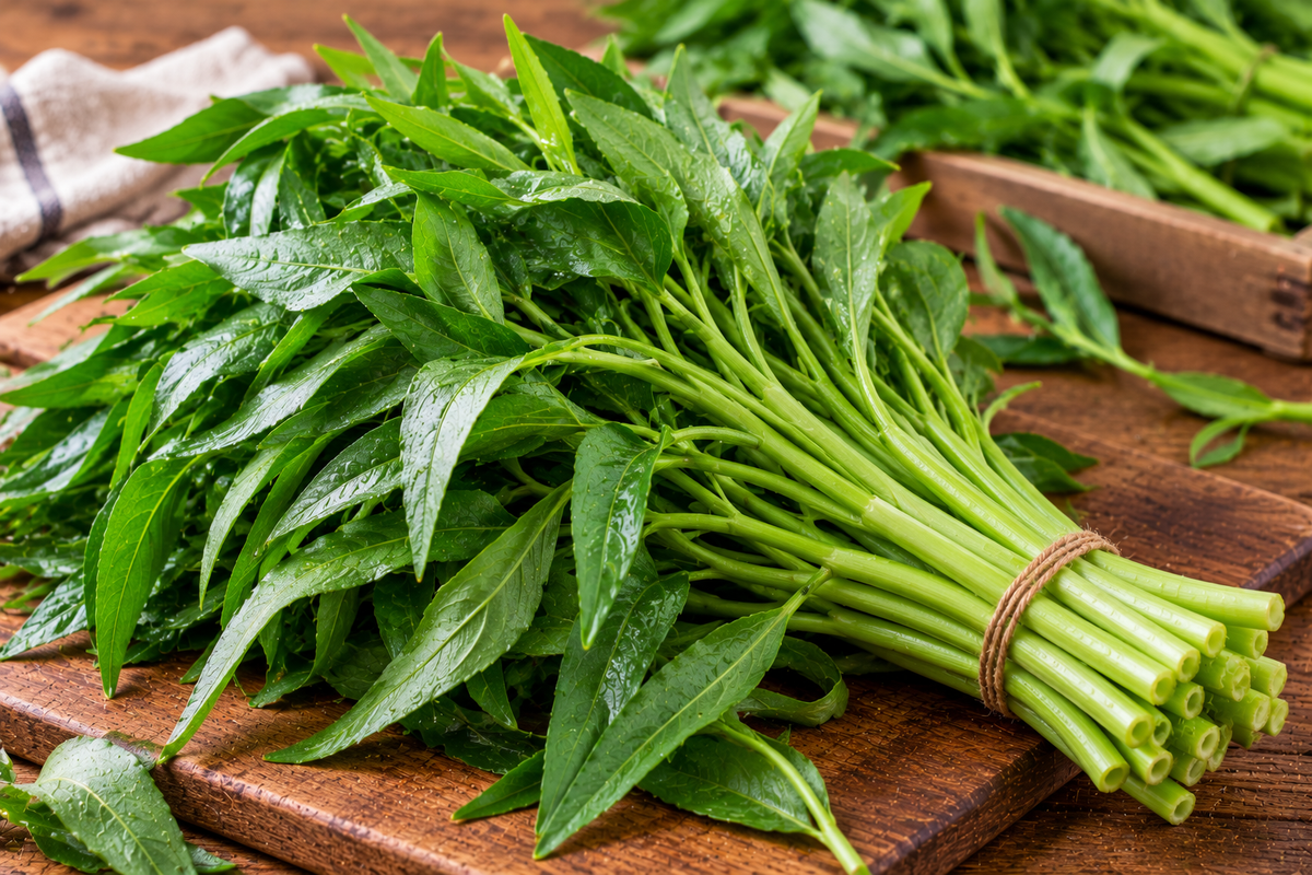 Water spinach with hollow stems and narrow green leaves
