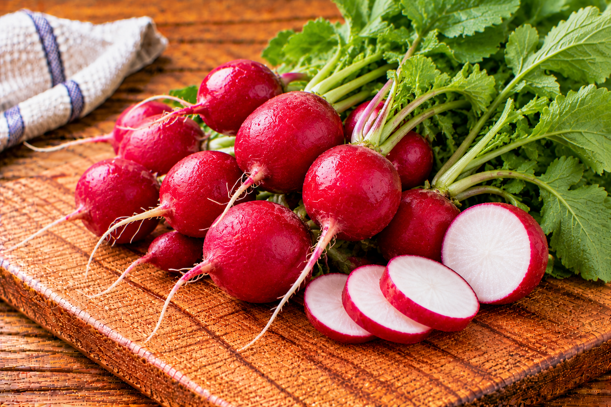 Red radishes with bright red skins and pale tapered roots