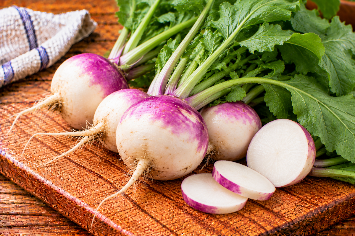 Turnips with round pale roots and purple shoulders