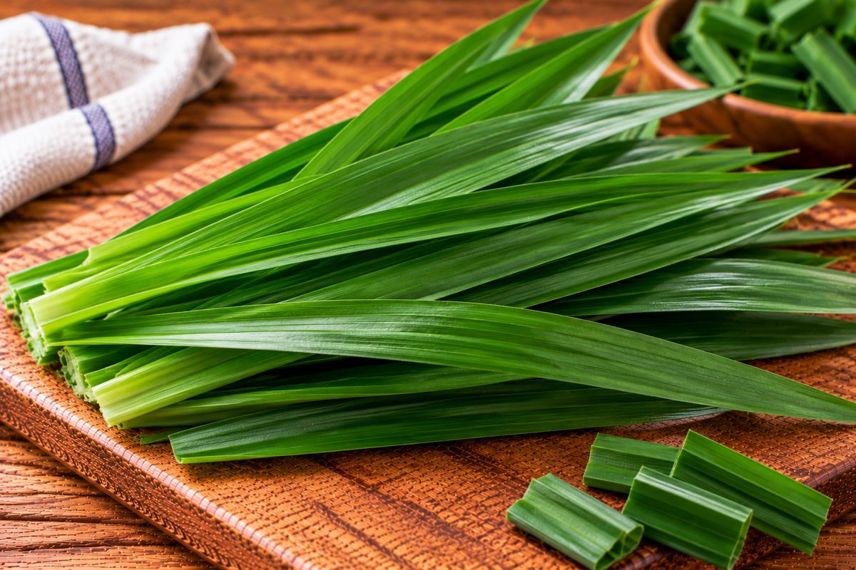 Long, narrow green pandan leaves arranged in a bundle