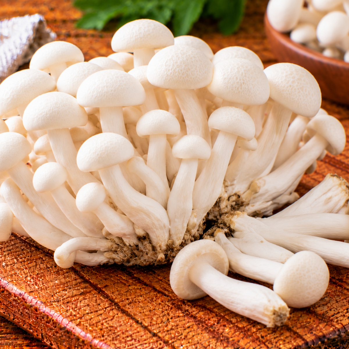 Clusters of white shimeji mushrooms with slender stems and small caps