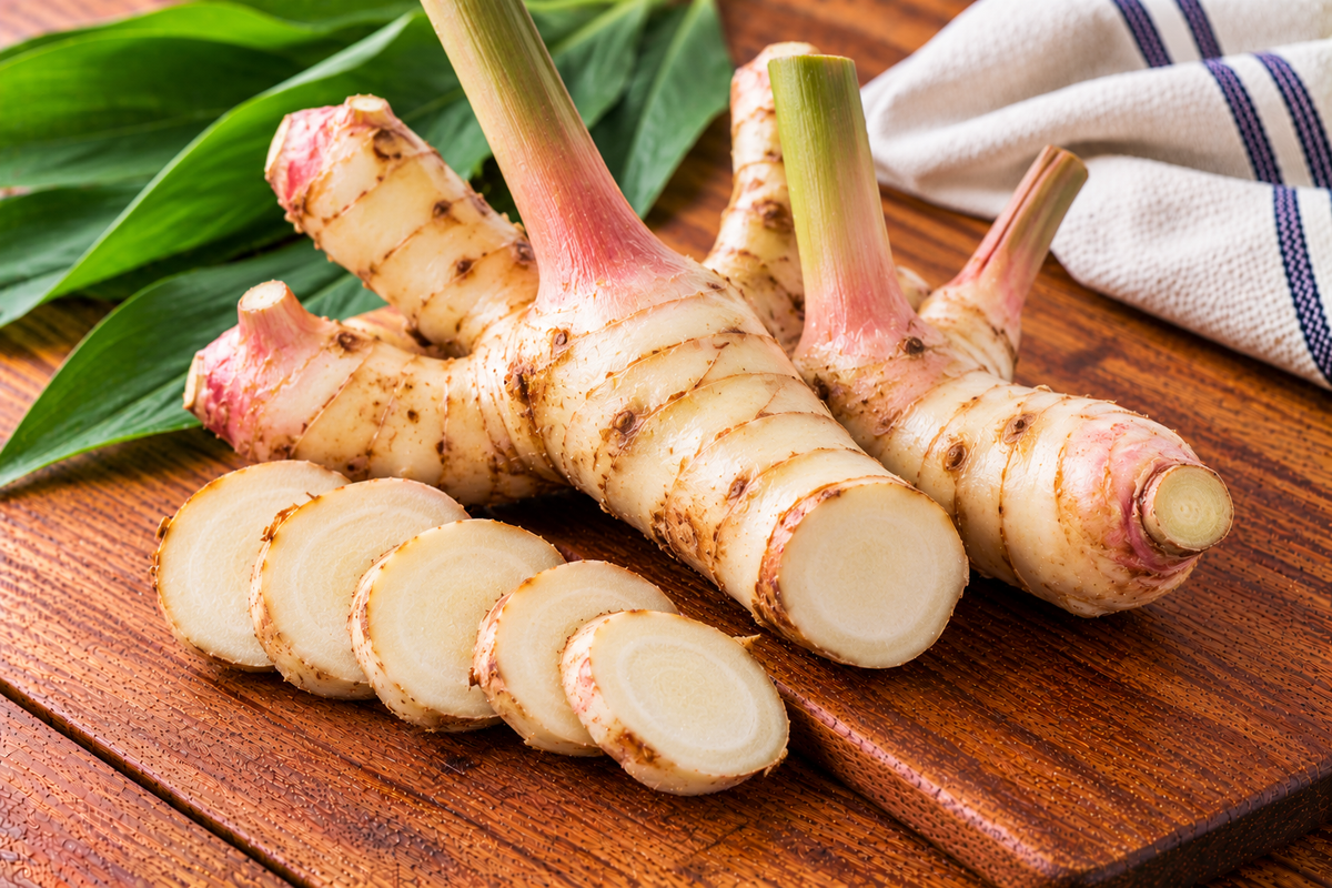 Galangal rhizome with knobbly tan skin and firm pale flesh