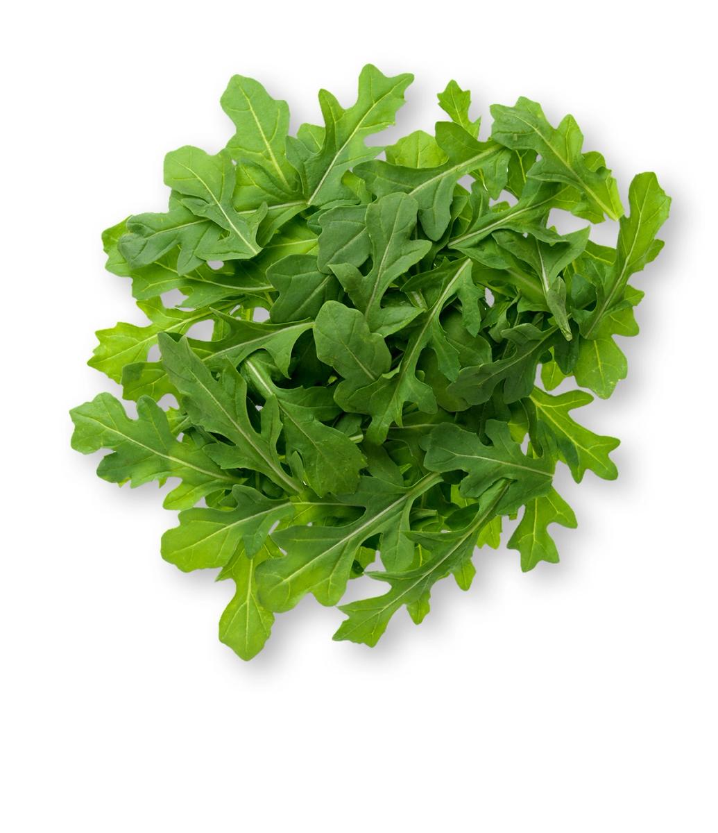 arugula