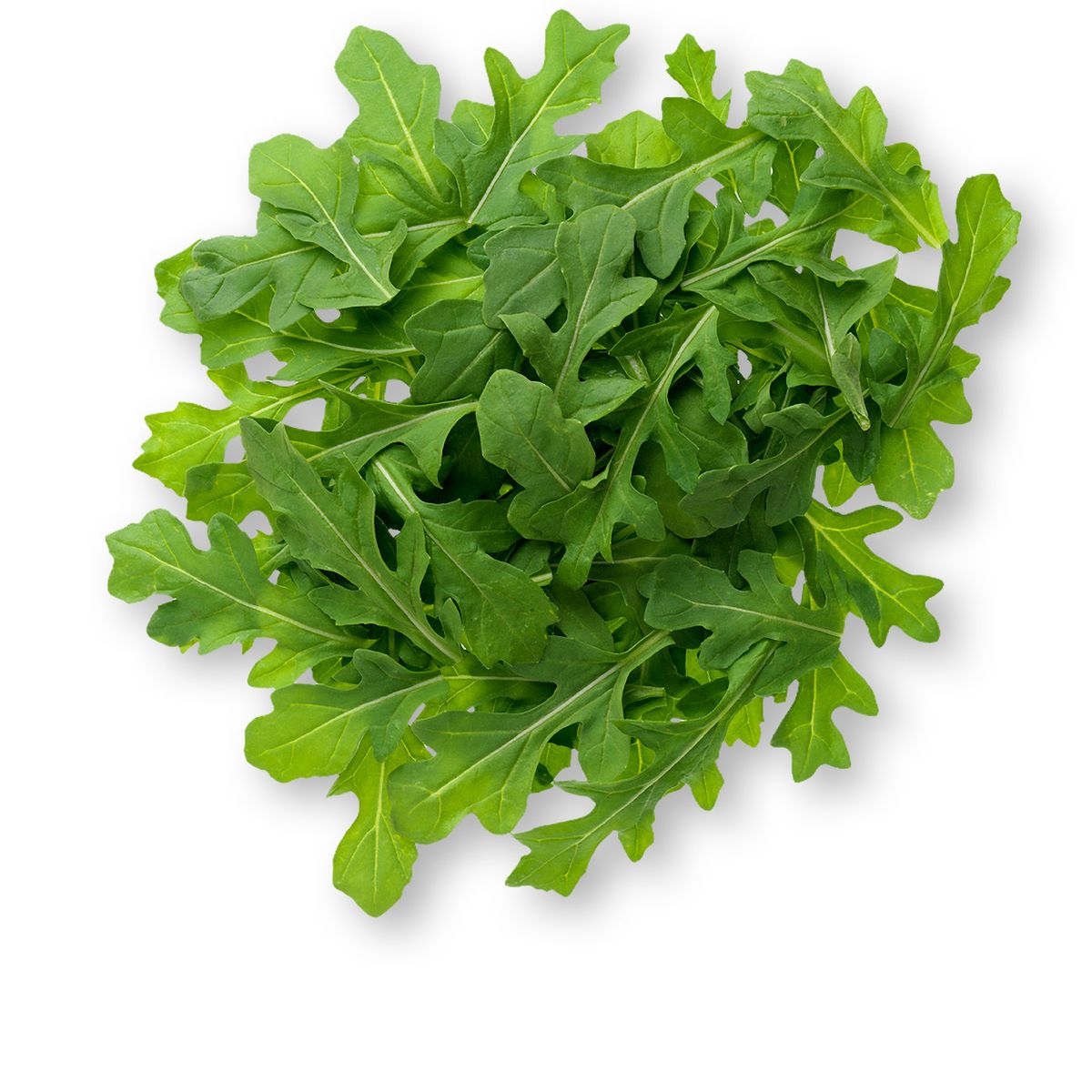 arugula