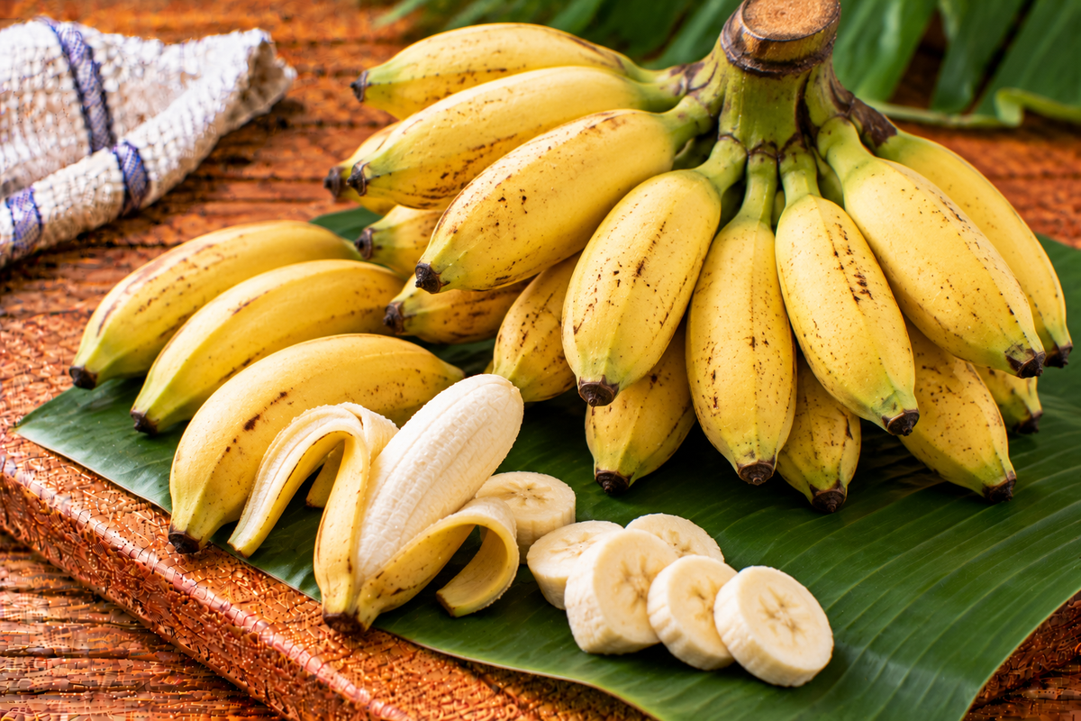 Small Yelakki bananas with curved yellow skins
