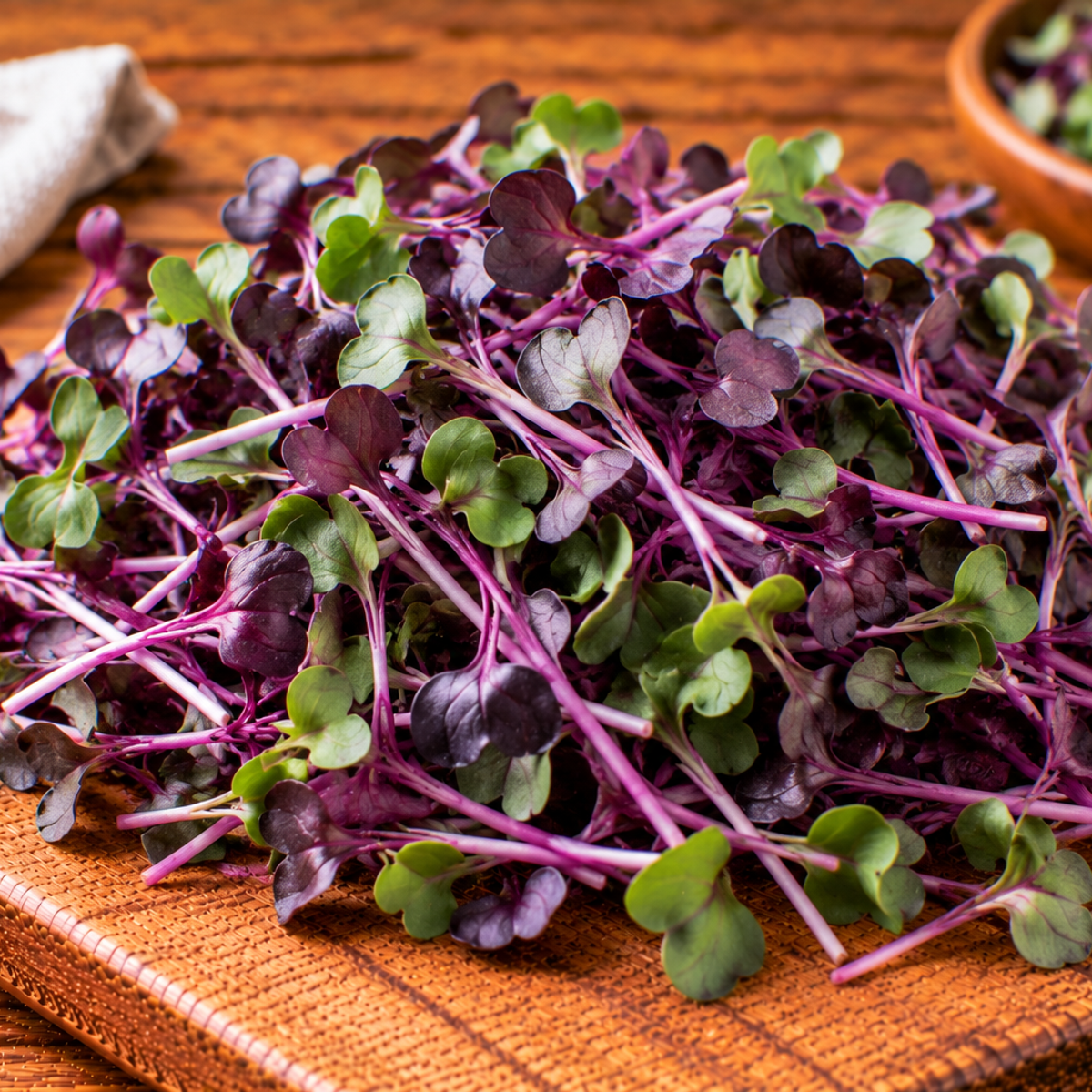 Purple radish microgreens with slender stems and tender leaves