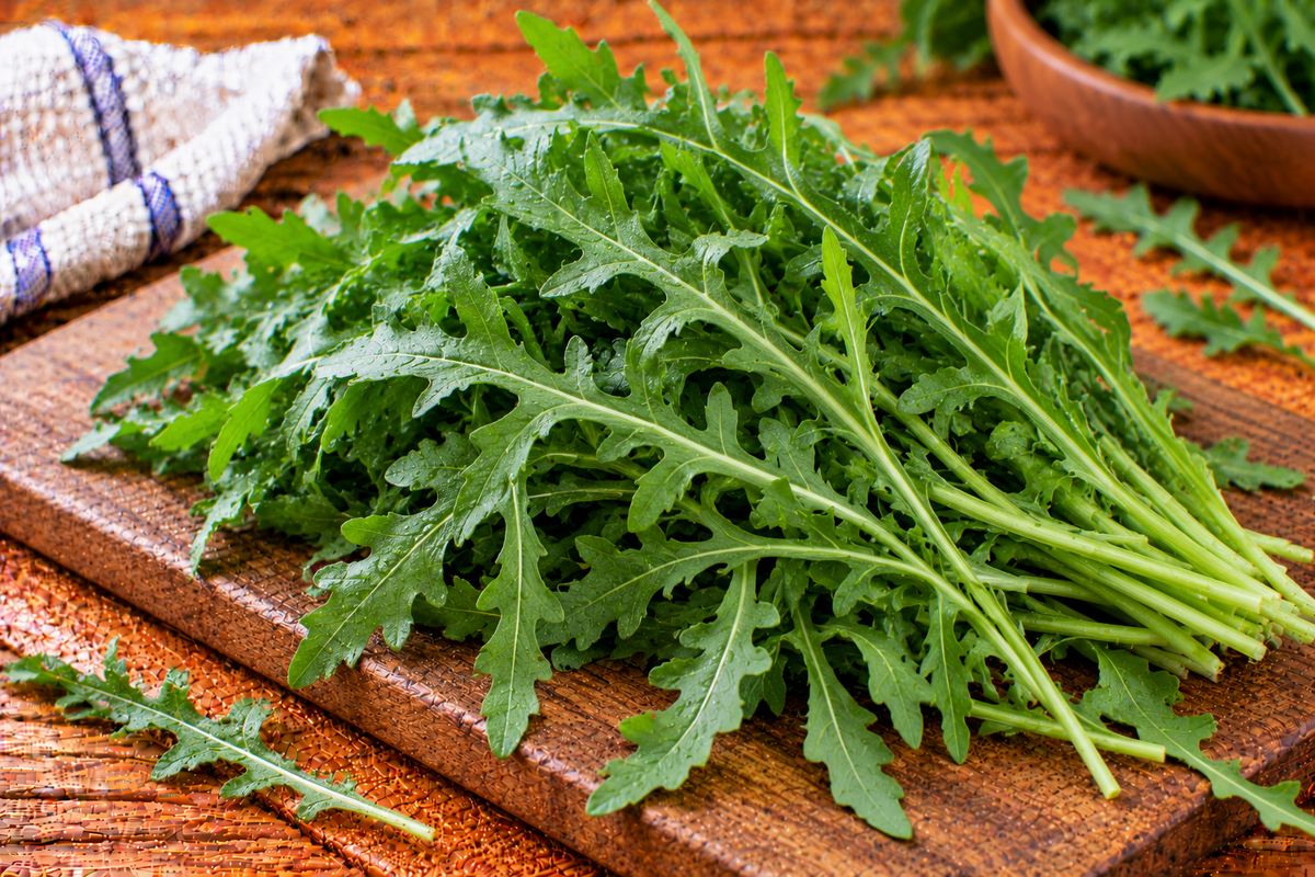 Wild arugula leaves with narrow, deeply lobed green edges