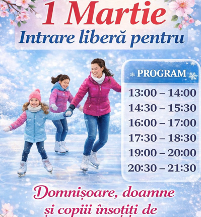 sibiu - 1 martie - patinoar - cisnadie 