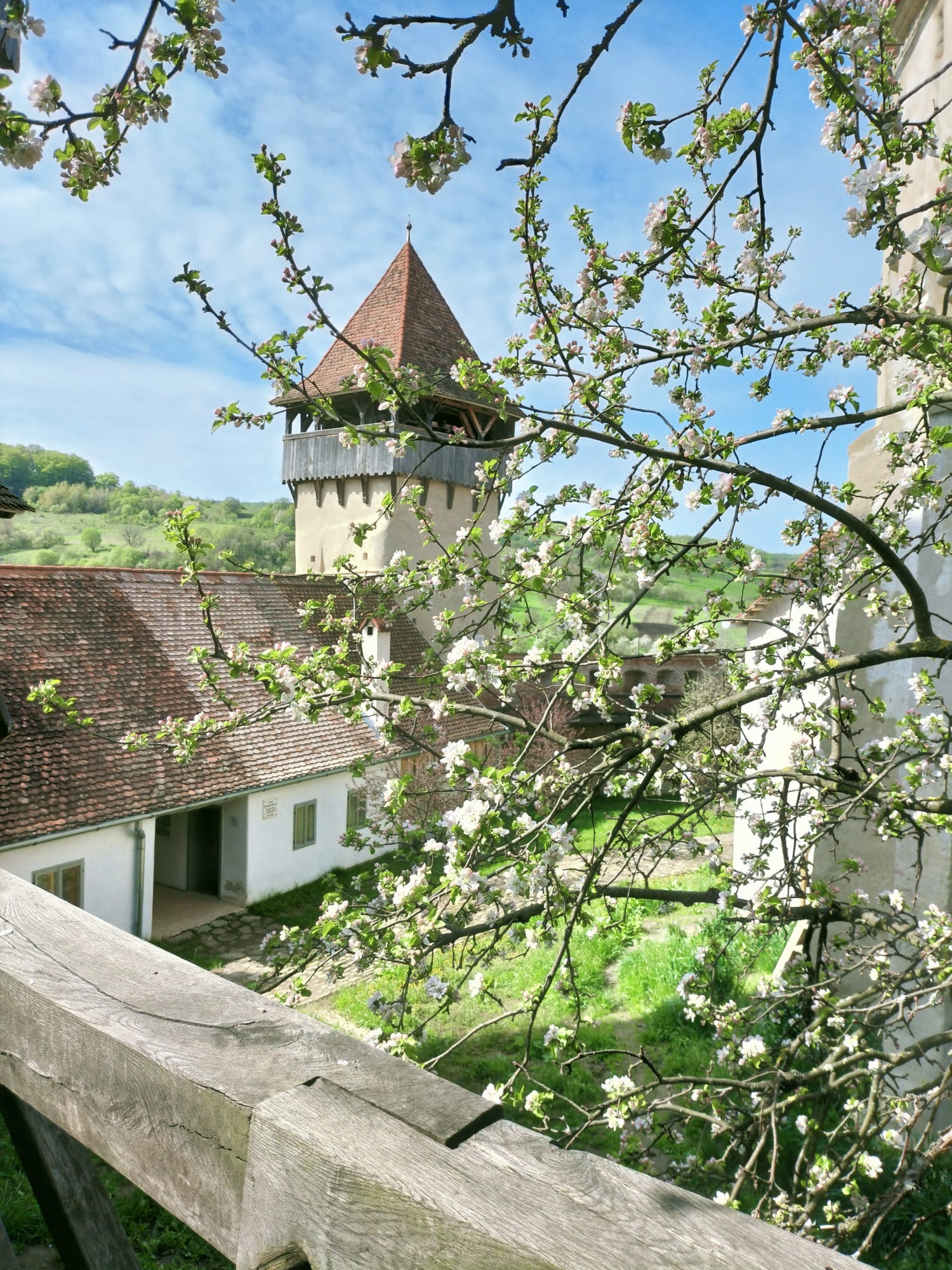 alma vii -sibiu - redeschisa- biserica fortificata- alma vii-sibiu