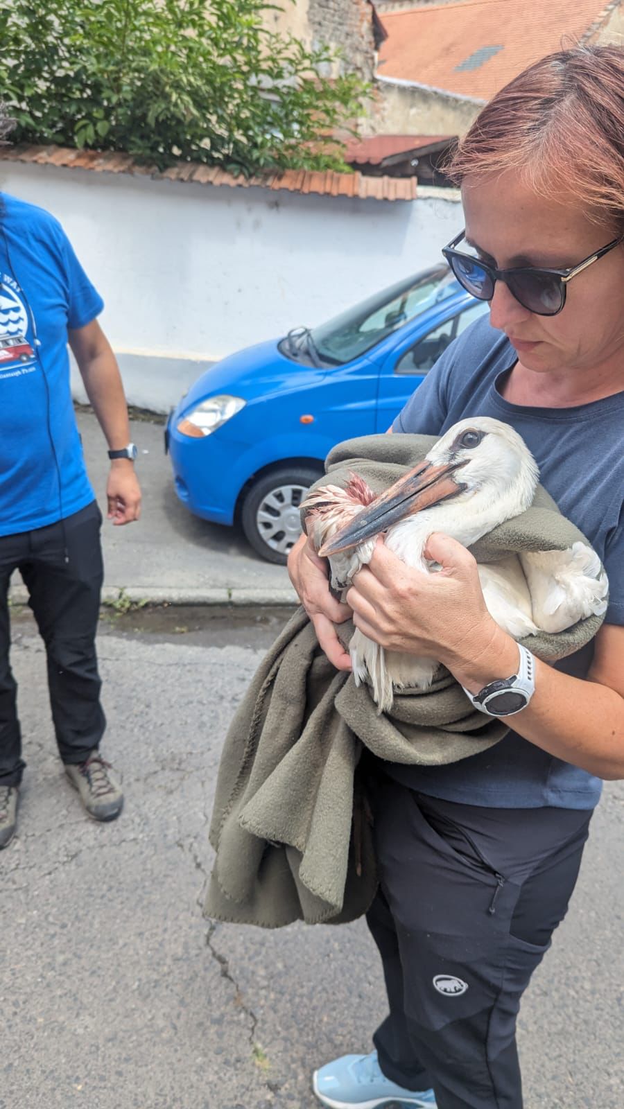 pui barza-sibiu- paratrasnet- isu sibiu-salvare