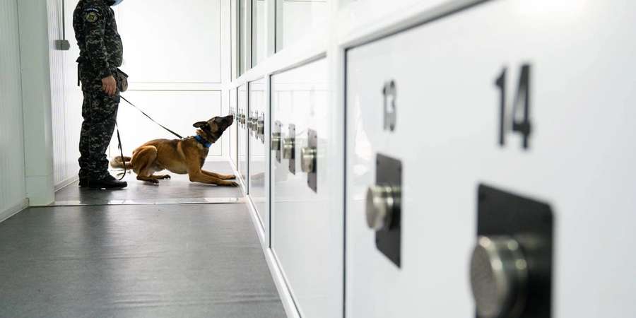  Centrul Chinologic Sibiu -  tuse de canisă - boala infecțioasă