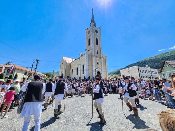 gura raului - sibiu - bujor de munte