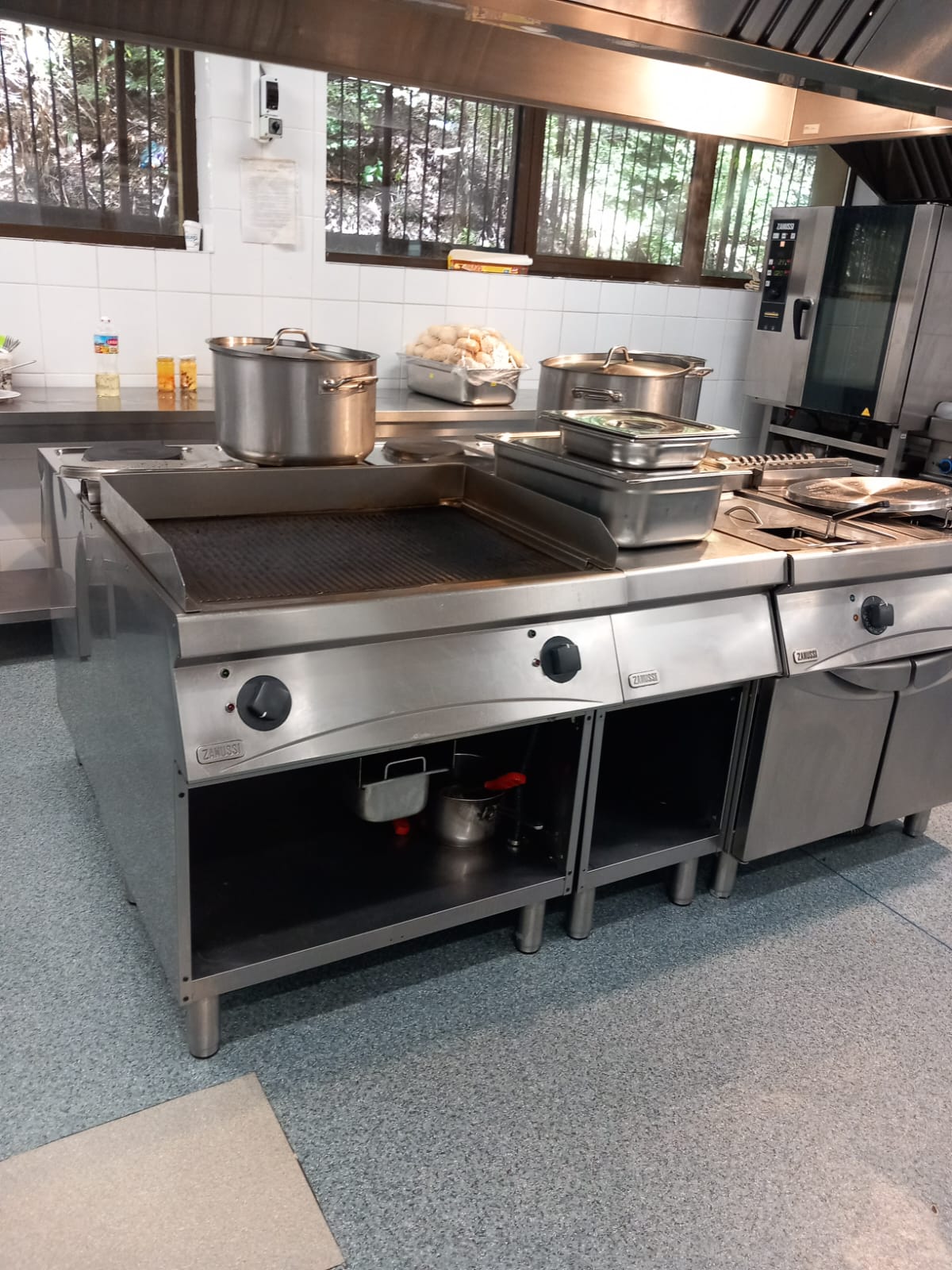 toxiinfectie alimentara- sibiu - paltinis- stafilococ- angajat - hotel dsp sibiu