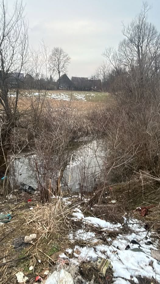 tragedie - chirpar - 4 copii decedati - inec - dgaspc 