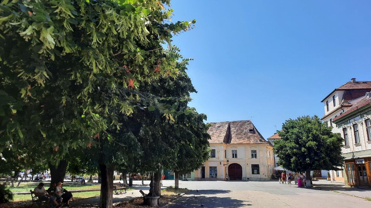 usr mediaș - referendum local- reabilitare centru istoric - zonă verde