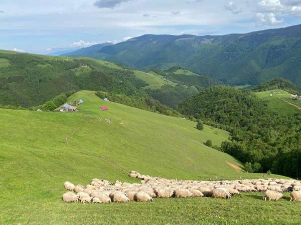 Tara Colibelor - Sibiu - Rau Sadului