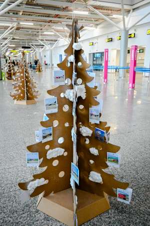 brazi ecologici -sibiu - aeroport sibiu 