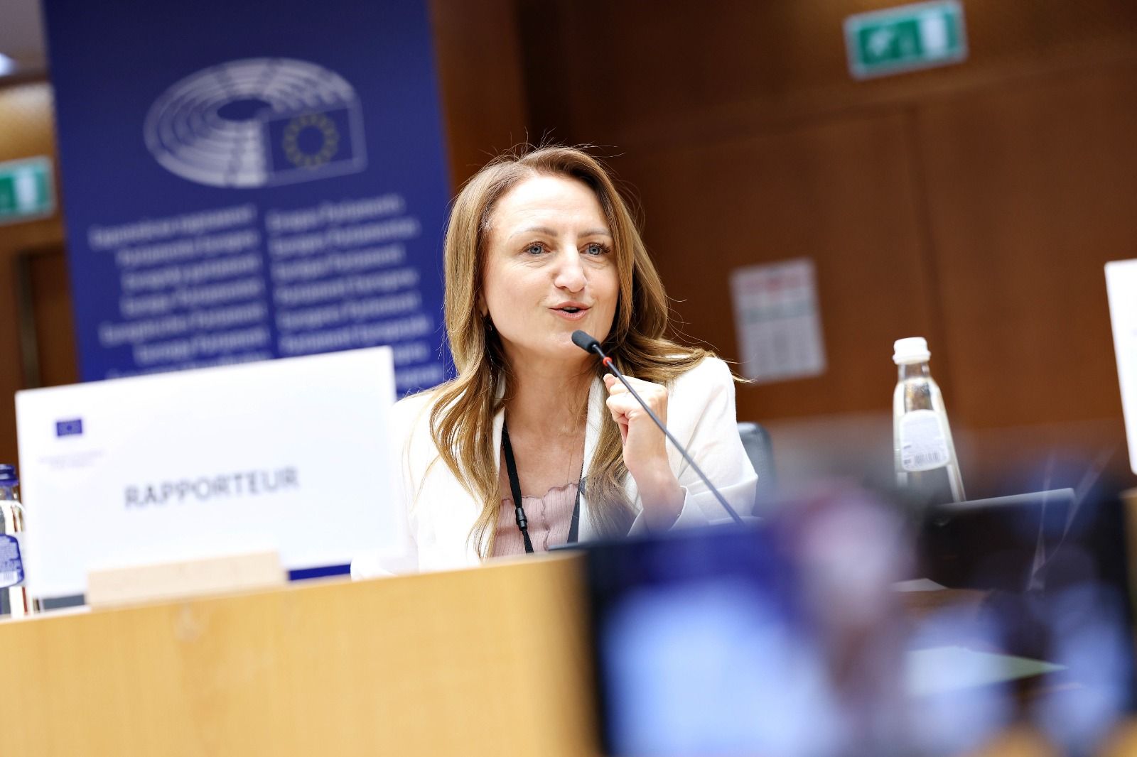 Daniela Cîmpean- Sibiu - securitate cibernetică-  sănătate -  Bruxelles - CJ Sibiu -   regulamentul privind IA - eliminat