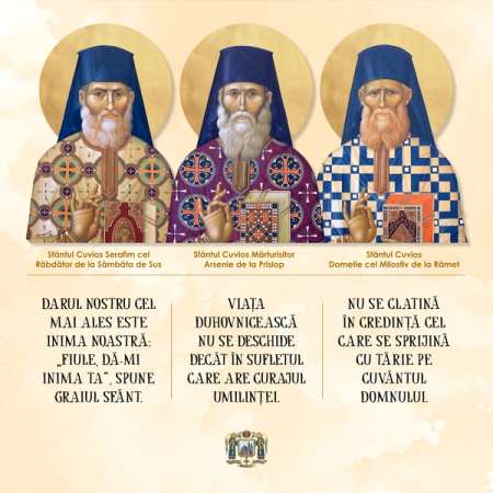 arsenie boca - canonizare 