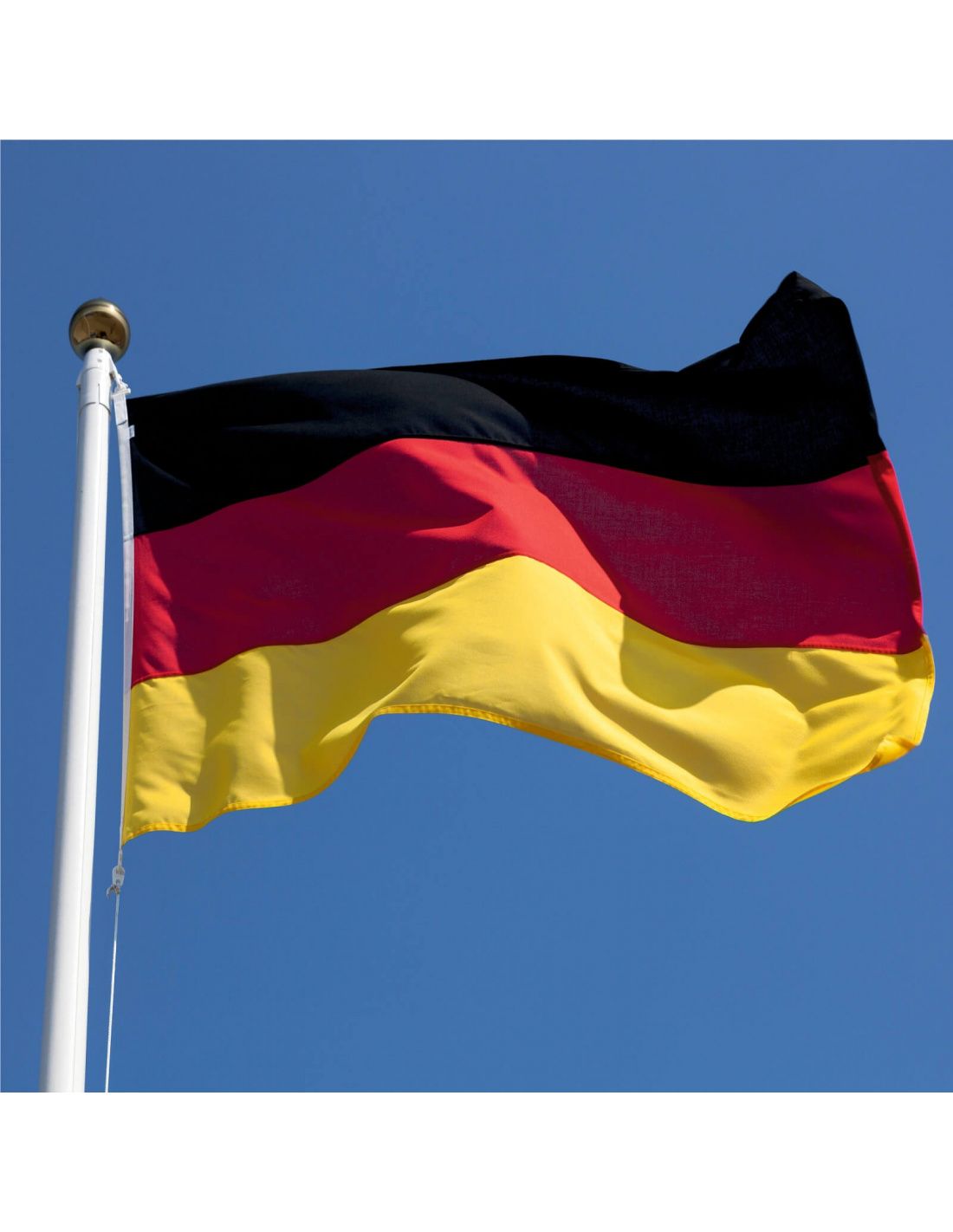 germania- manifetații - afd - extremism - interzicere