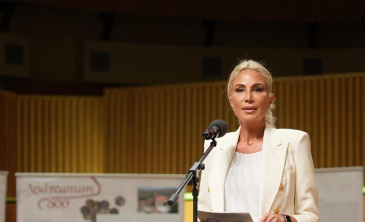 raluca turcan - concursuri - ministerul culturii - feudalizare - conflict de interese - András Demeter