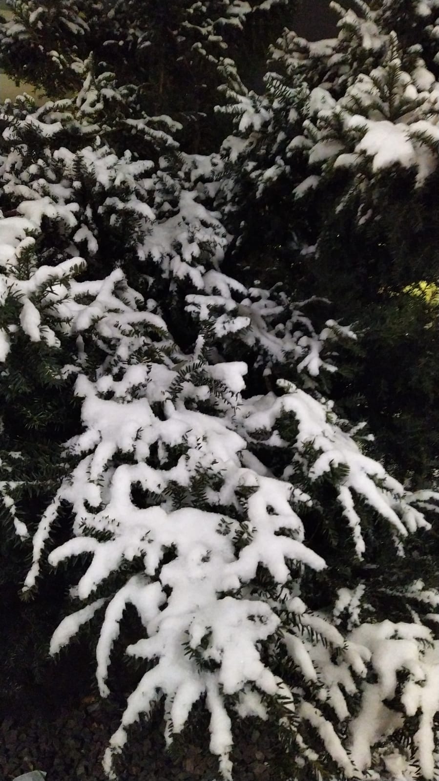 sibiu - vant - viscol - ninsori - munte - ANM