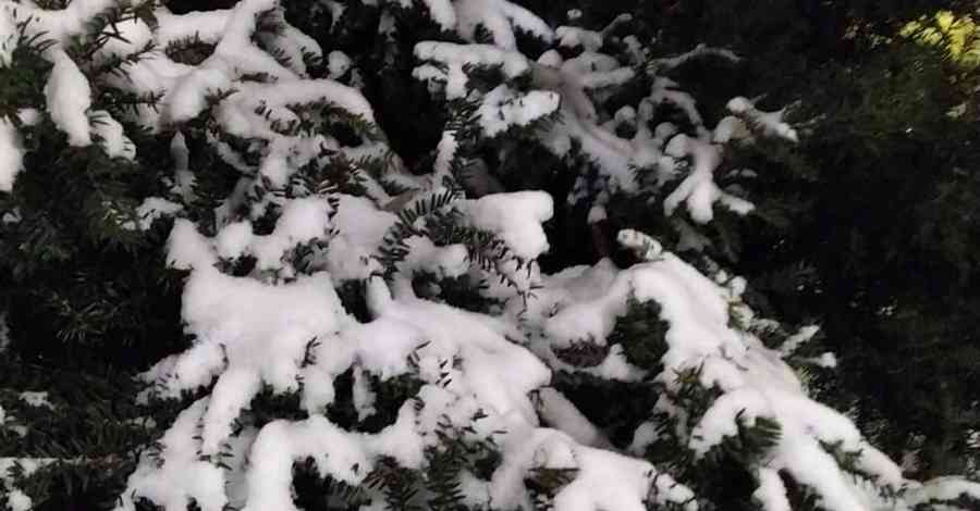 sibiu - vant - viscol - ninsori - munte - ANM