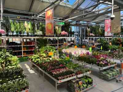 Hornbach - investitie - Sibiu - 4 milioane € - magazin - zona de grădinărit